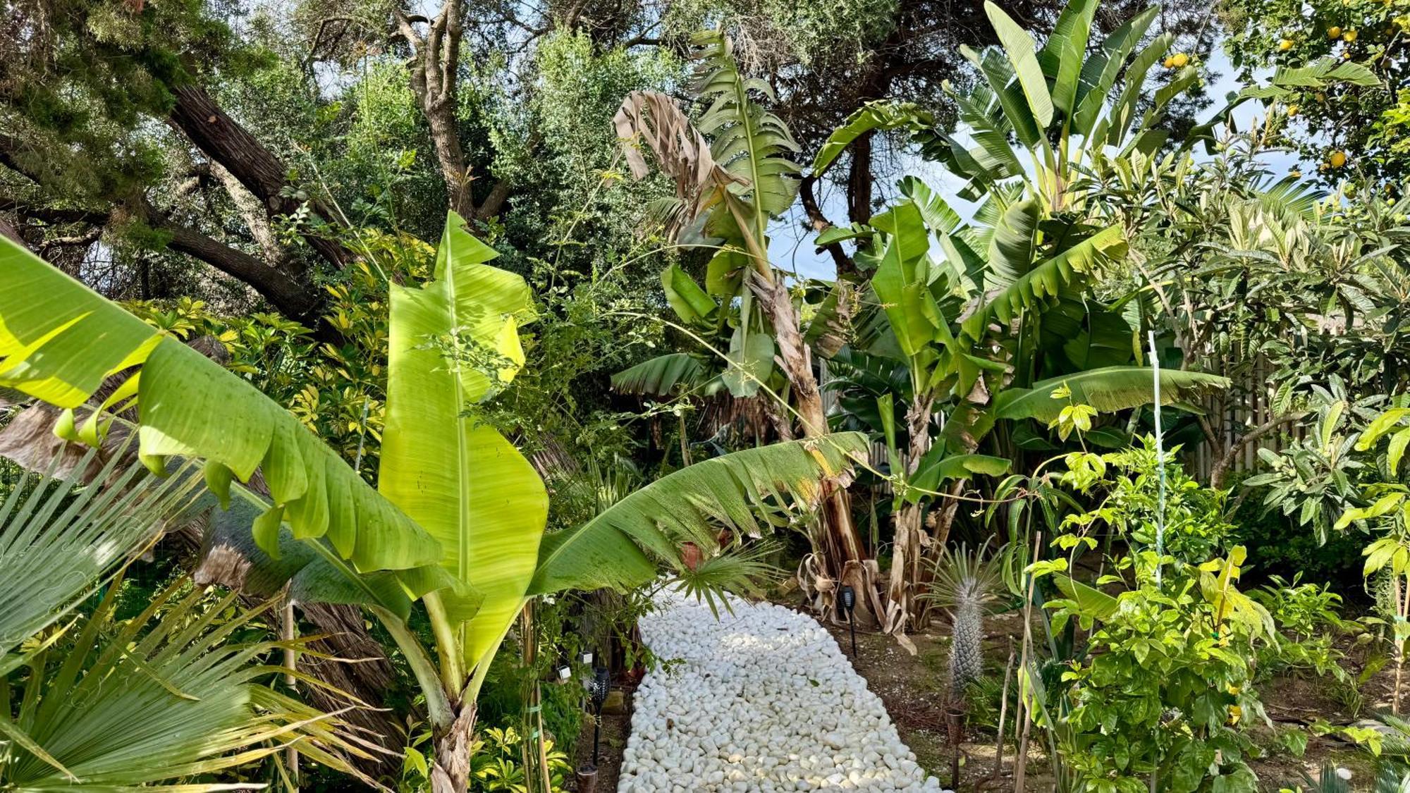 הוילה Casa Blu מארבלה מראה חיצוני תמונה